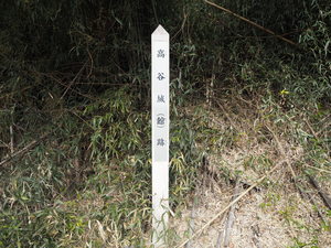 高谷城