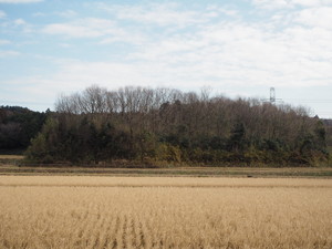 高谷城