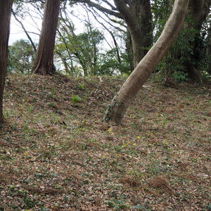 俵田館ノ内城