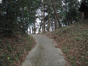 俵田館ノ内城