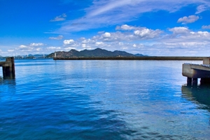 稲井城（姫内城）