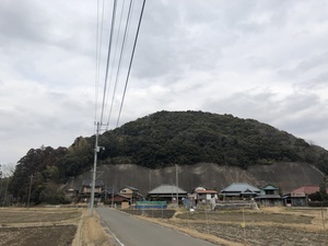 怒田城