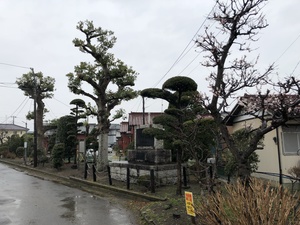 貝淵陣屋