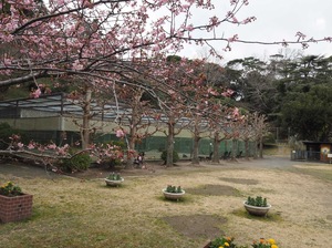 館山城