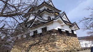 彦根城