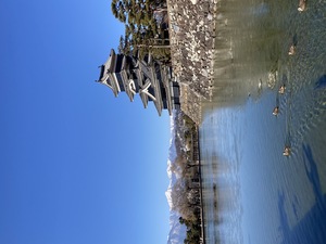 松本城